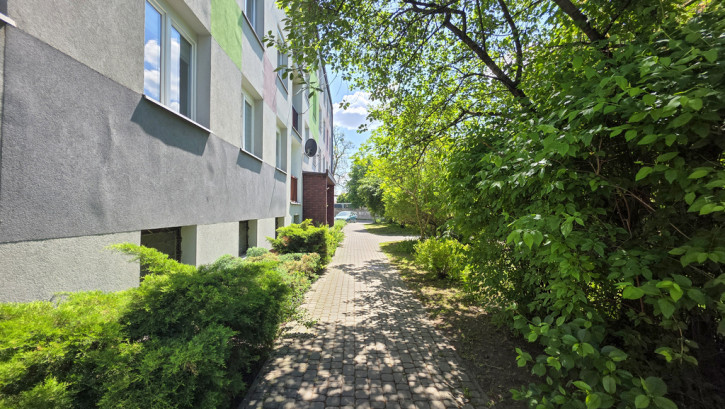 Mieszkanie Sprzedaż Stalowa Wola Energetyków 16